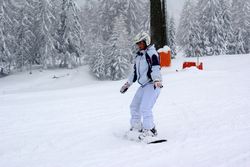 Alta Val Badia (146), Chiara R (43), Sci Alpino (290)